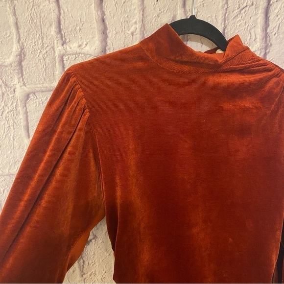 A.l.c. Marcel Ruched Velvet Mini Dress in Sumac Rust Burnt Orange 12 - Picture 12 of 15